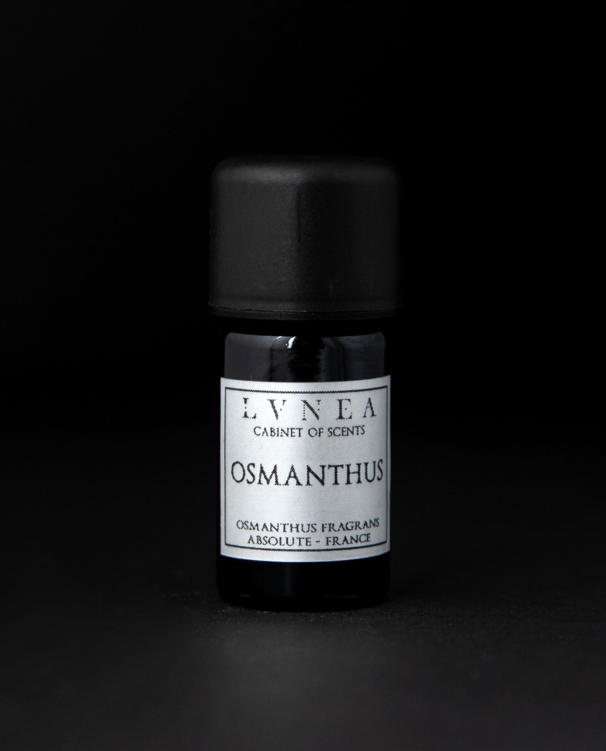 Osmanthus fragrans perfume 2025
