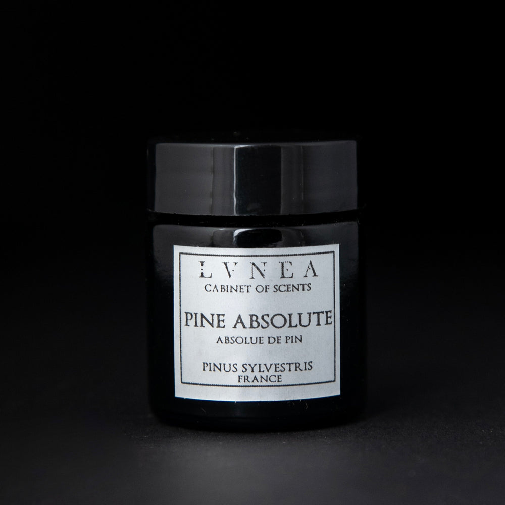 Black glass jar of LVNEA's pine absolute on black background