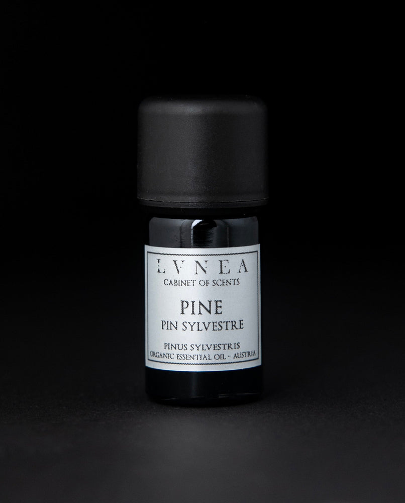5ml black glass bottle of LVNEA's pine essential oil on black background. The label on the bottle is silver.