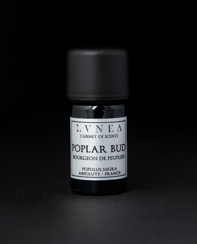 5ml black glass bottle of LVNEA's poplar bud absolute on black background. The label on the bottle is silver.