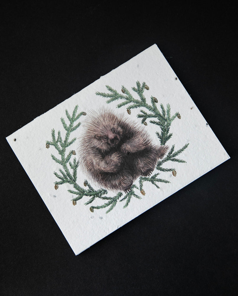 cream-coloured greeting card with natural history-style illustration of a porcupine. The cardstock is textured and studded with seeds.