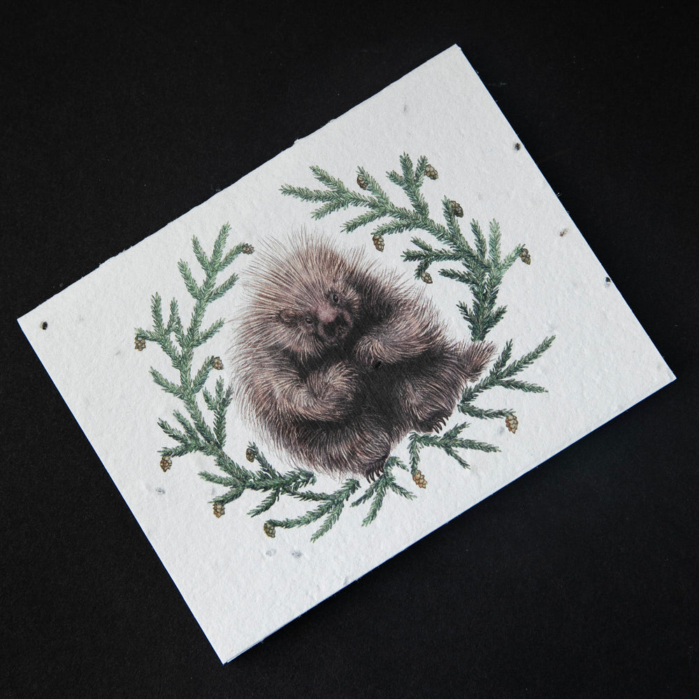 cream-coloured greeting card with natural history-style illustration of a porcupine. The cardstock is textured and studded with seeds.