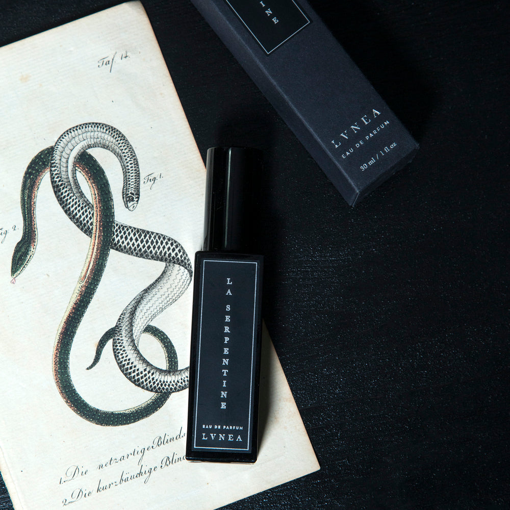 
                      
                        30ml bottle of La Serpentine and its box laying atop a black wooden surface and an antique illustration of two entwined serpents
                      
                    
