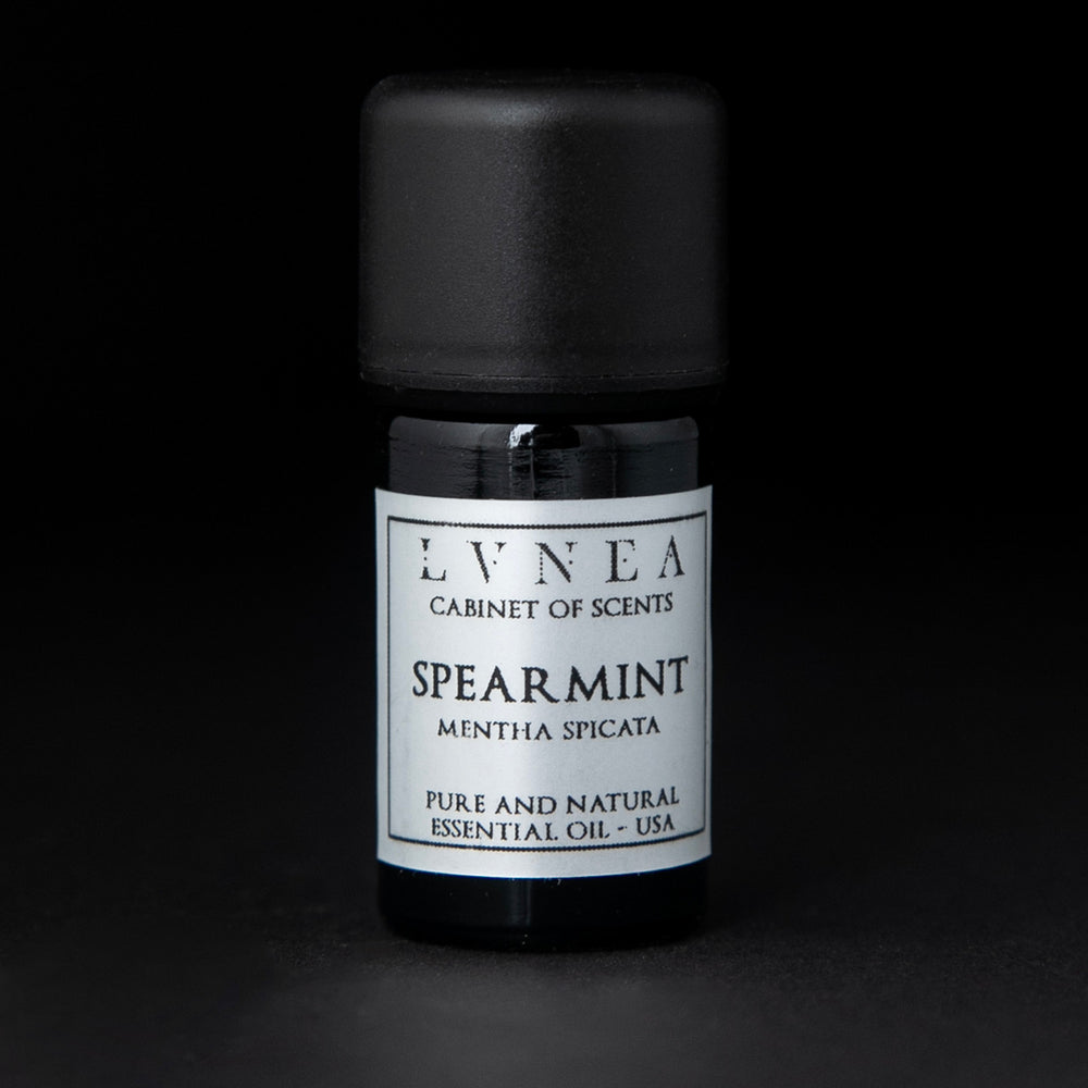5ml black glass bottle of LVNEA's spearmint essential oil on black background. The label on the bottle is silver.