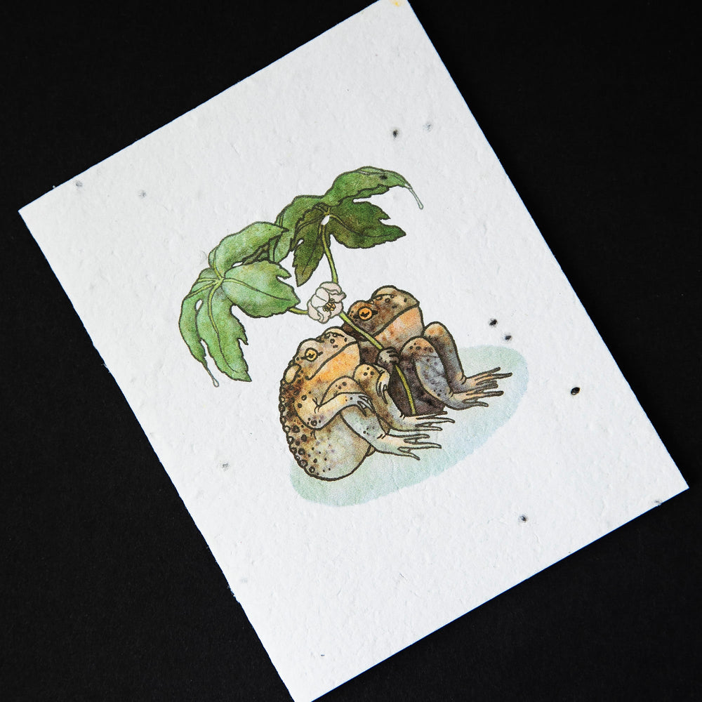 cream-coloured greeting card with illustration of two toads huddled together under a leaf. The cardstock is textured and studded with seeds.