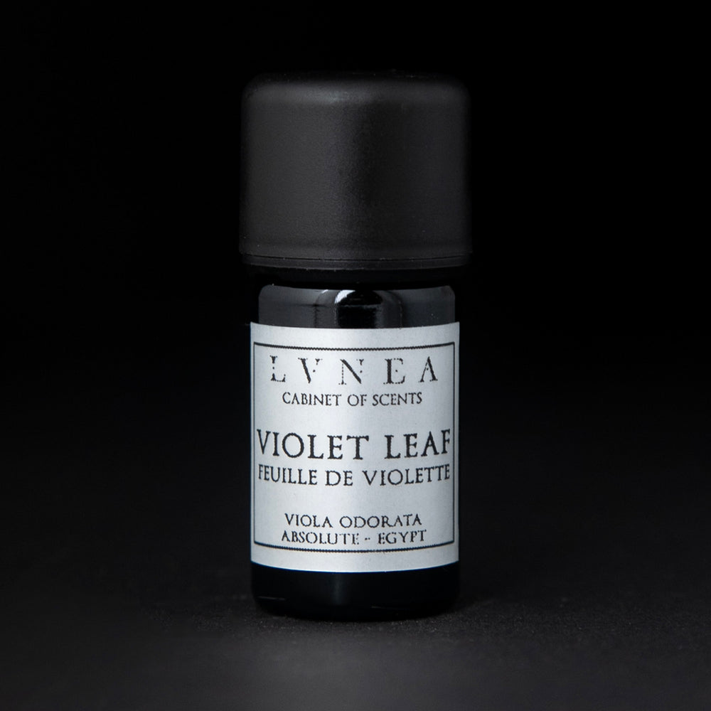 
                      
                        5ml black glass bottle of LVNEA's violet leaf absolute on black background. The label on the bottle is silver.
                      
                    