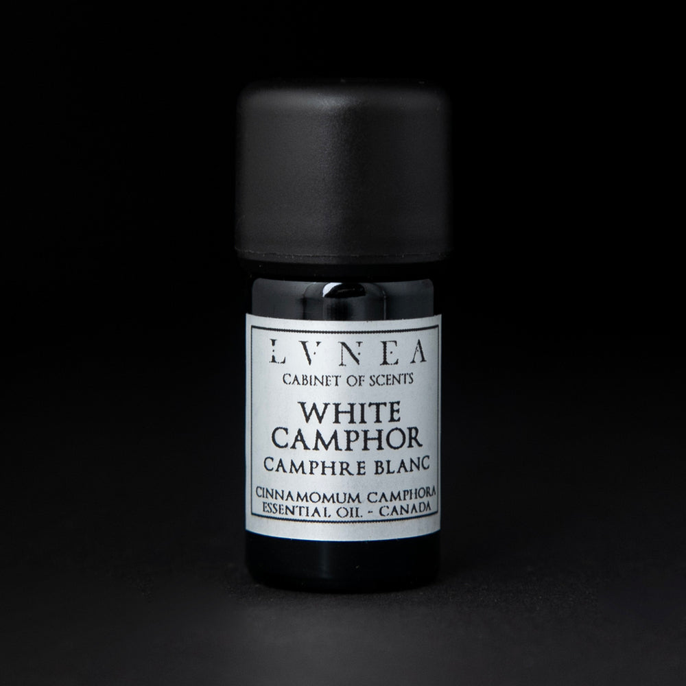5ml black glass bottle of LVNEA's white camphor essential oil on black background.