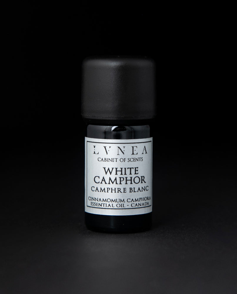 CAMPHOR, WHITE | Essential Oil